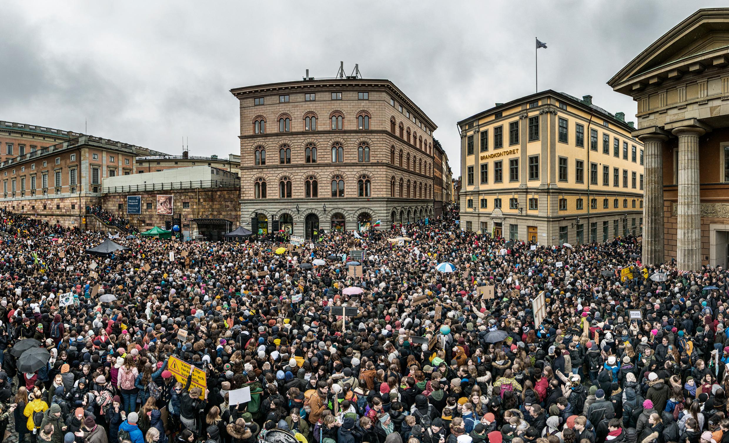 A crowd of people demonstrating in front of majestic-looking buildings.