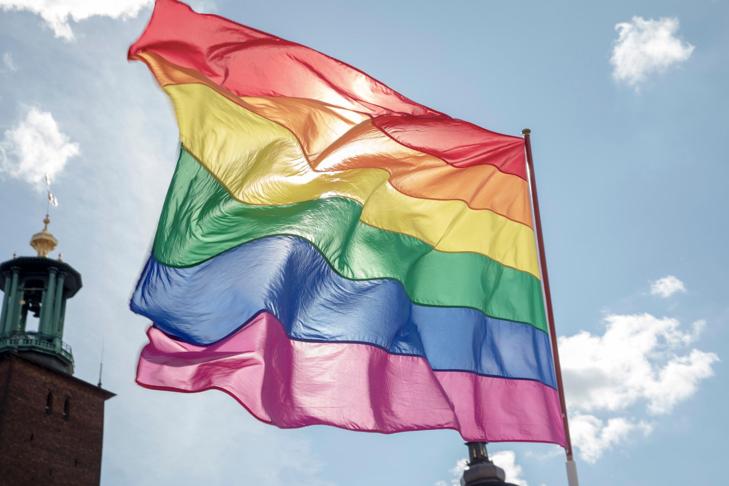 علم فخر المثليين