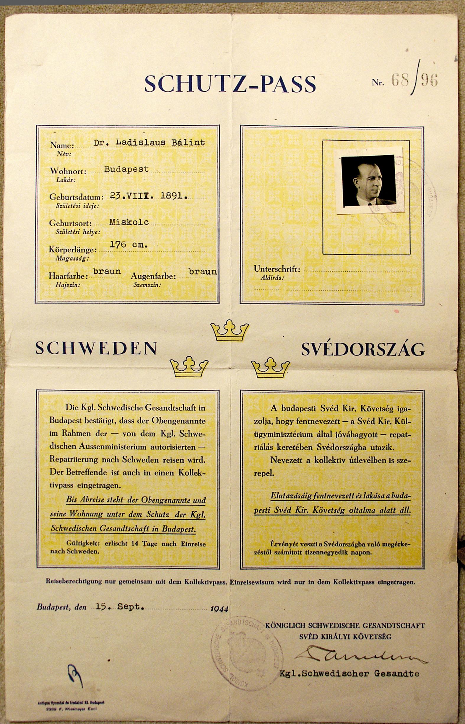 جواز سفر سويدي للحماية باللونين الأزرق والأصفر.