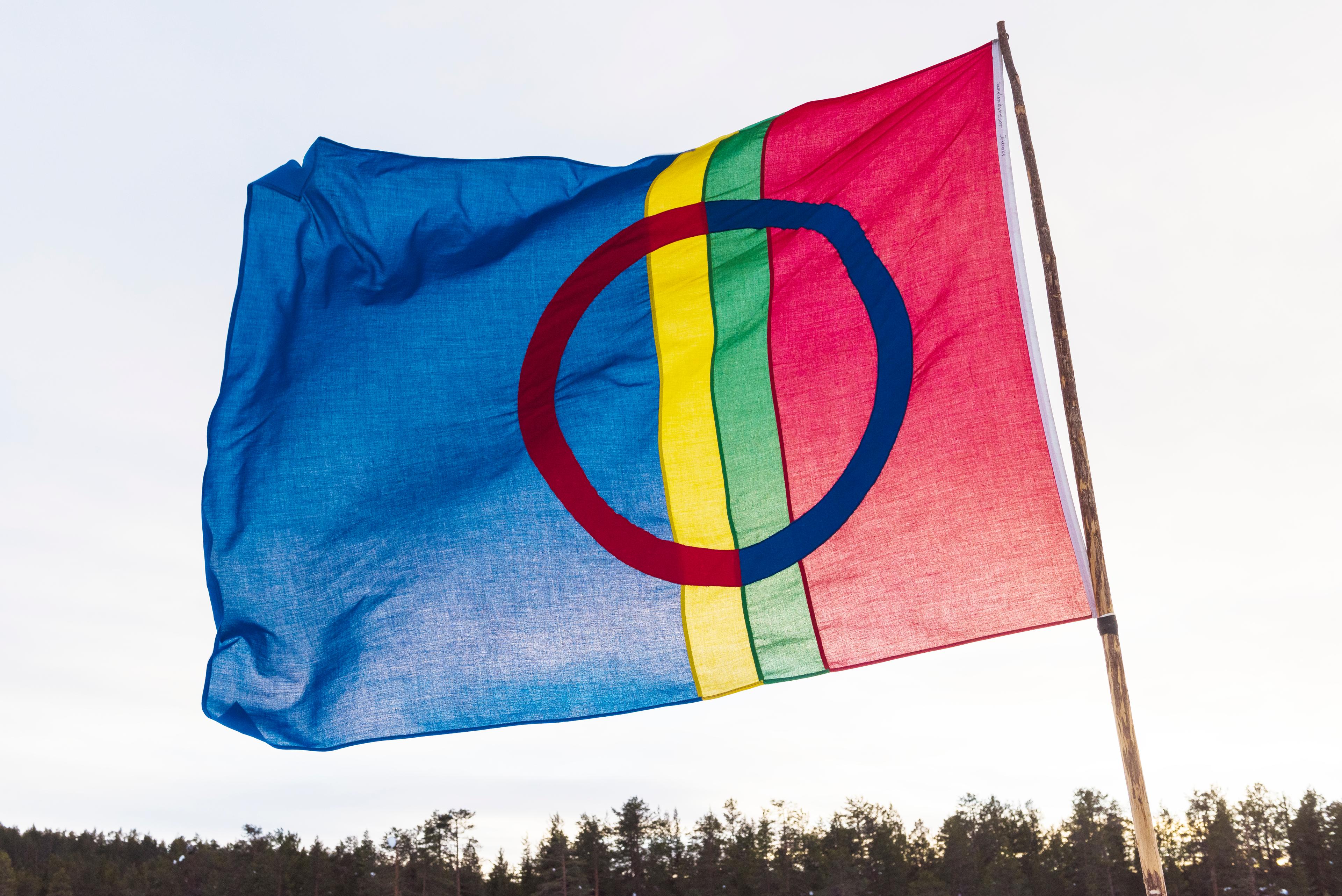 علم قومية سامي المكون من خطوط طولية حمراء وخضراء وصفراء وزرقاء ودائرة فى منتصفه..