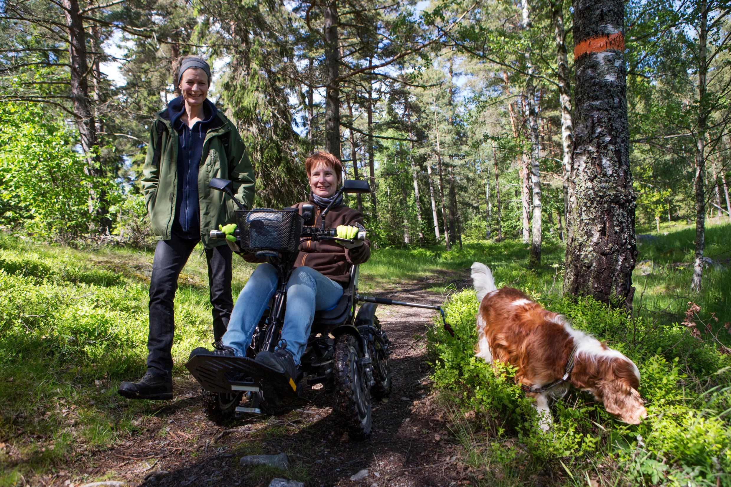 الوصول للطبيعة حق للجميع. تمكين ذوي الإعاقة في السويد